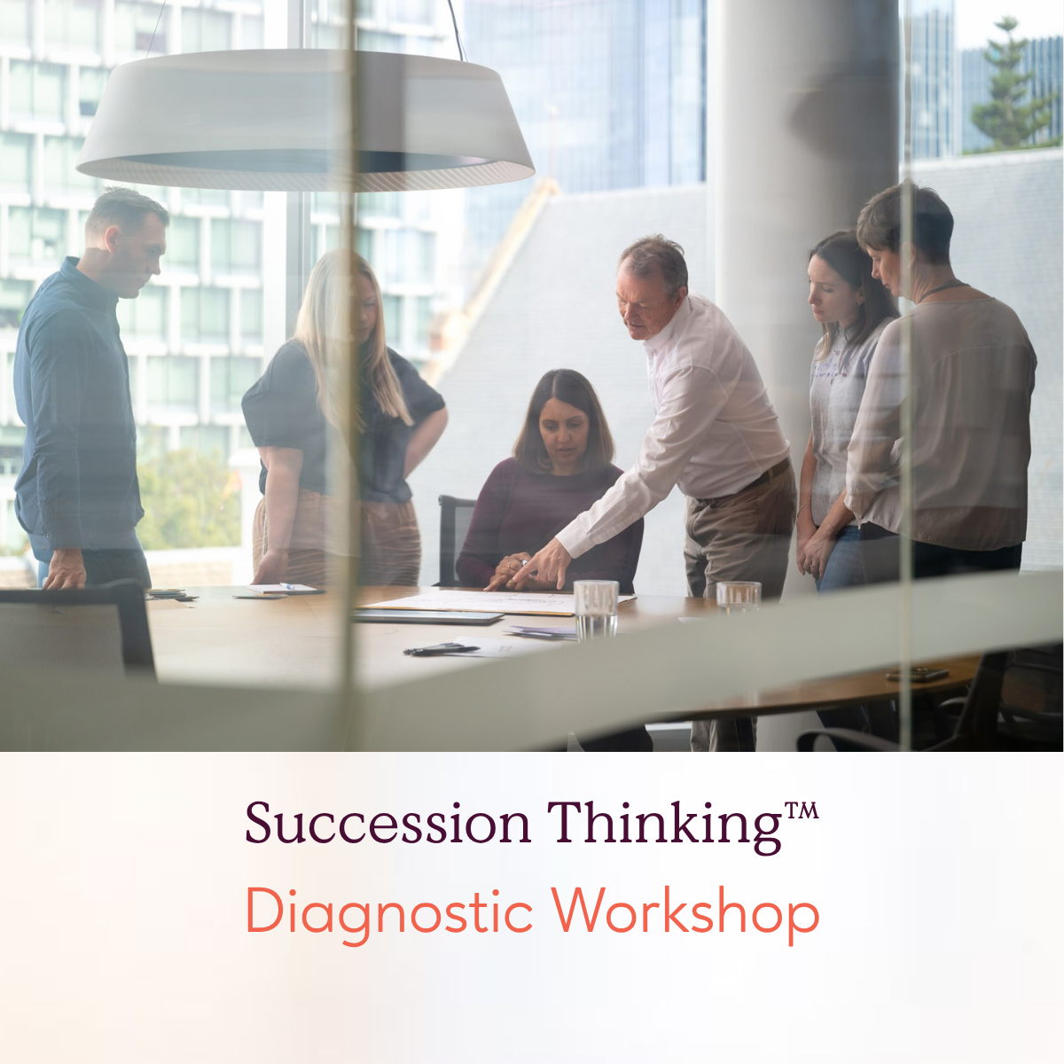 Succession Thinking™ - Diagnostic Workshop